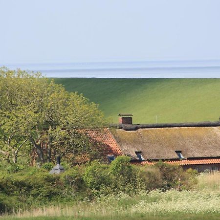 Gasthof Grosser Krug Norddeich  Eksteriør billede